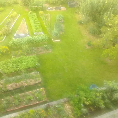 Island View * ブレッド