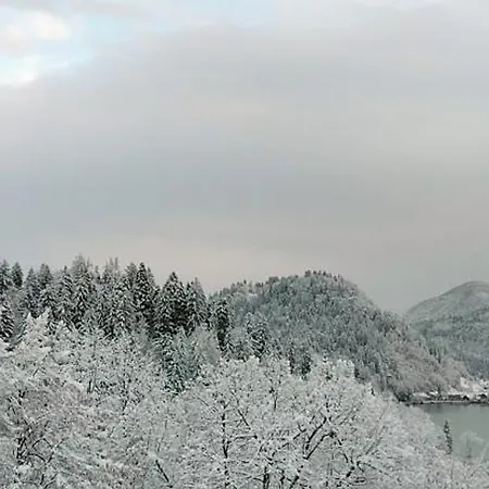 Island View アパート