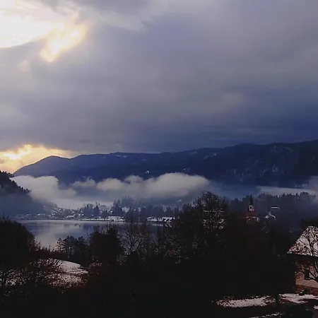 Island View アパート