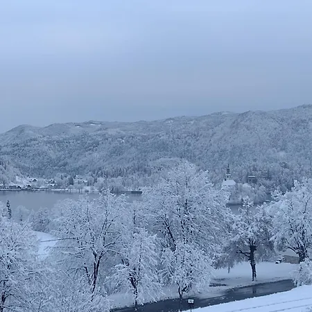 アパート Island View