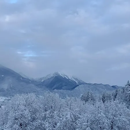 Island View * Bled