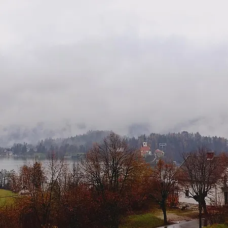 Island View アパート