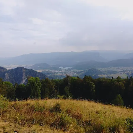 Island View * ブレッド