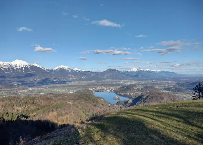 Apartma Island View *